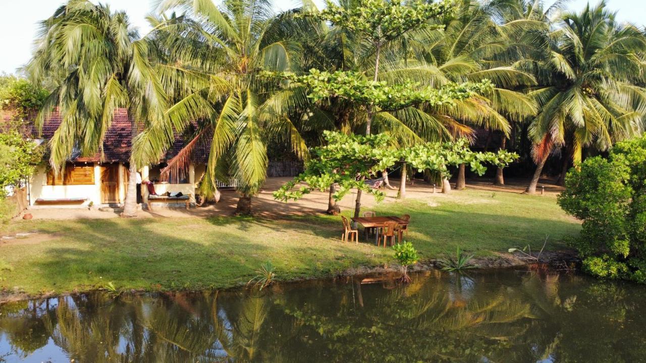 Kite House Cafe Bed & Breakfast Kalpitiya Exterior photo