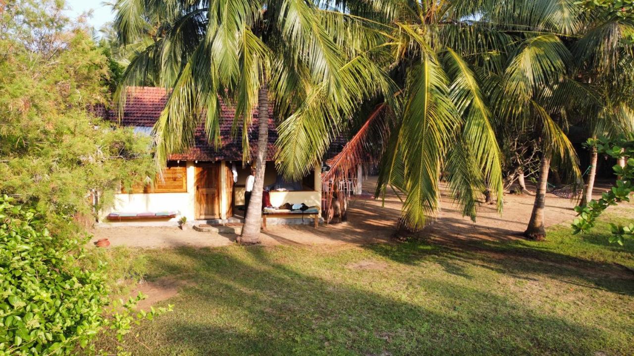 Kite House Cafe Bed & Breakfast Kalpitiya Exterior photo